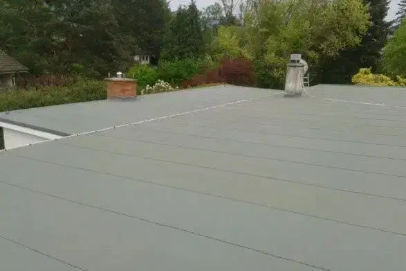 Completed flat roof surrounded by trees at France House