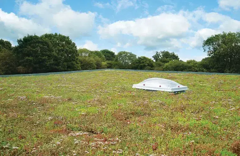 Planted green roof with a rooflight, Cambridge